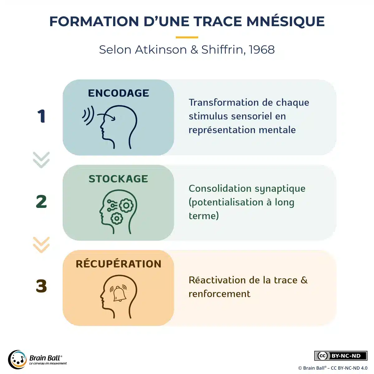 Schéma expliquant la formation d’une trace mnésique et la mémorisation d’un message publicitaire grâce à la répétition visuelle