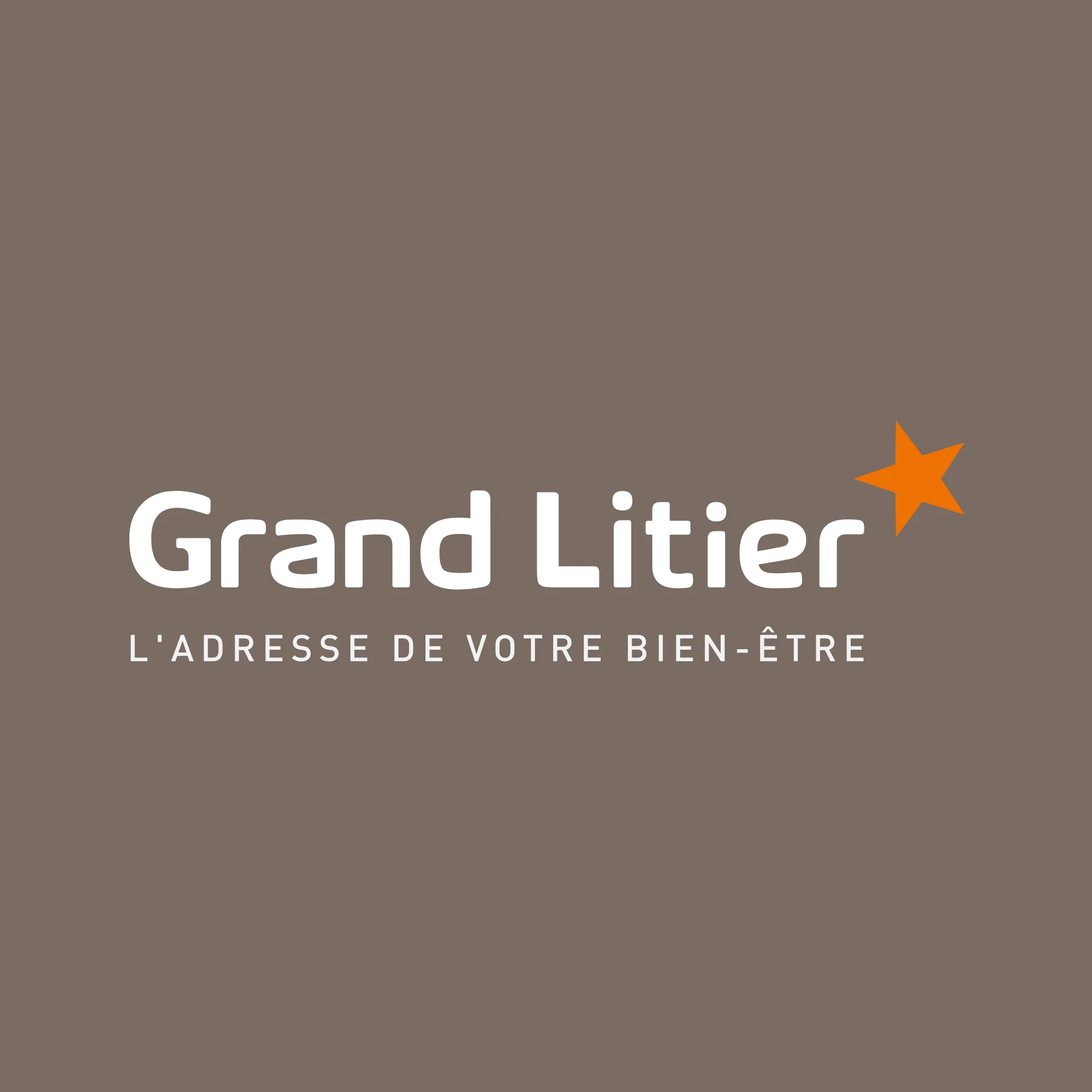 logo grand litier affichage permanent